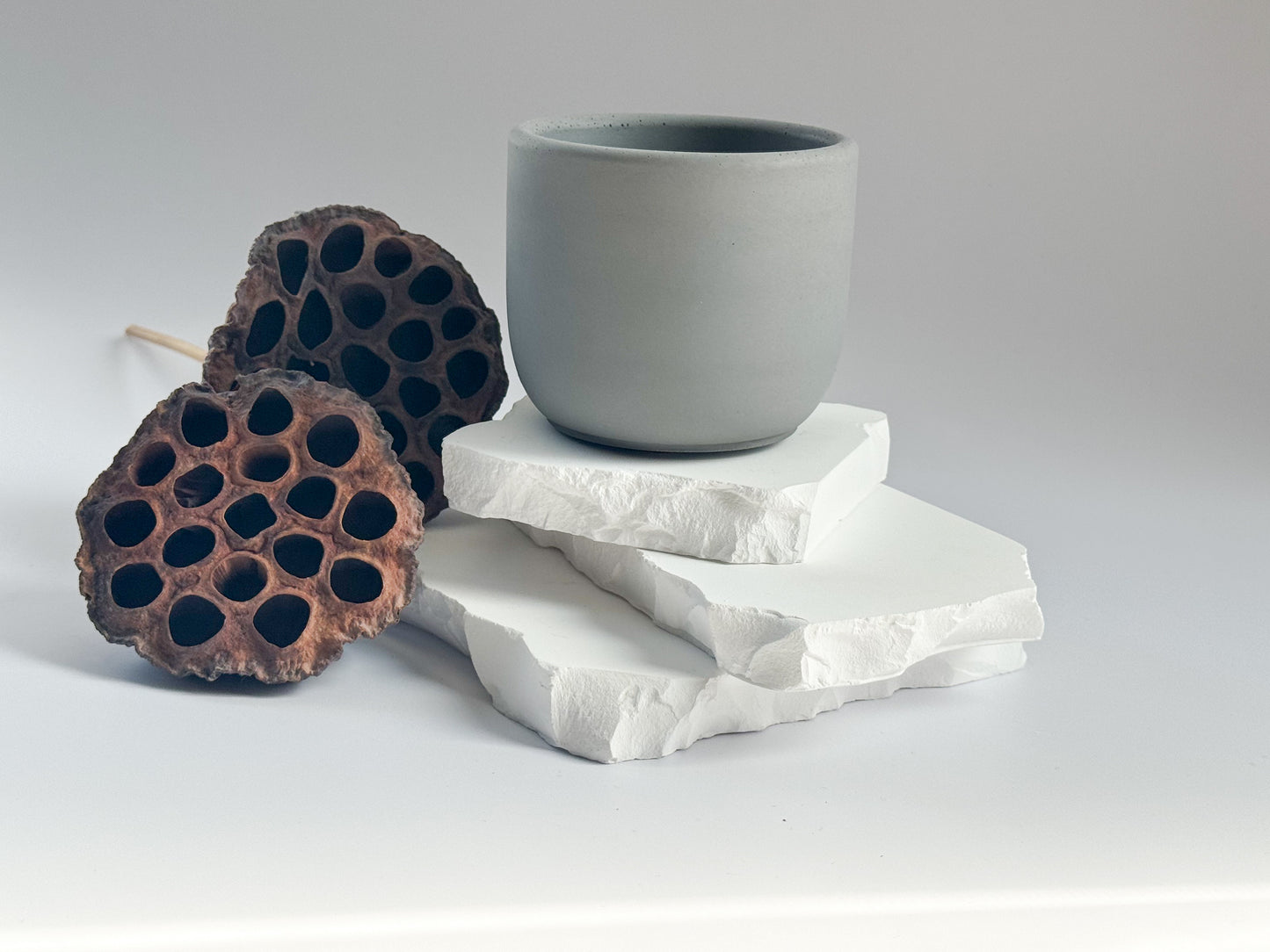 Concrete Tulip shape Candle Vessel, 8 oz