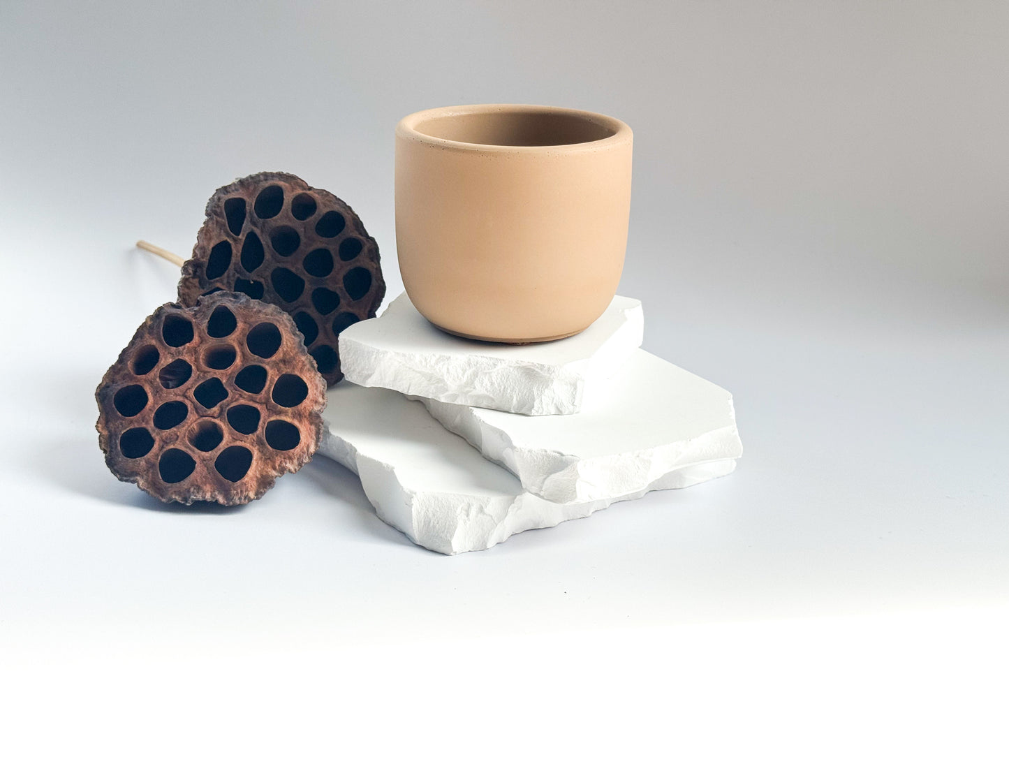 Concrete Tulip shape Candle Vessel, 8 oz